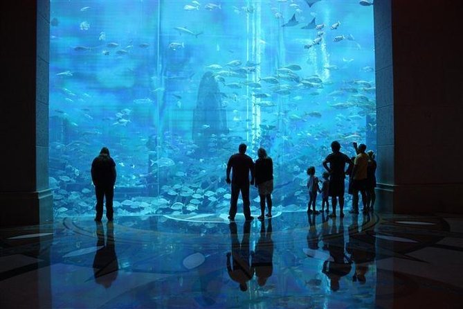 Atlantis Lost-Chamber Aquarium Dubai - Aquarium Attractions and Exhibits