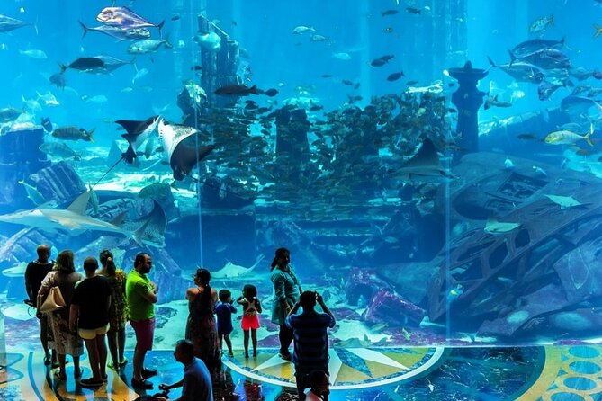 Atlantis Lost-Chamber Aquarium Dubai - Facility Amenities and Services