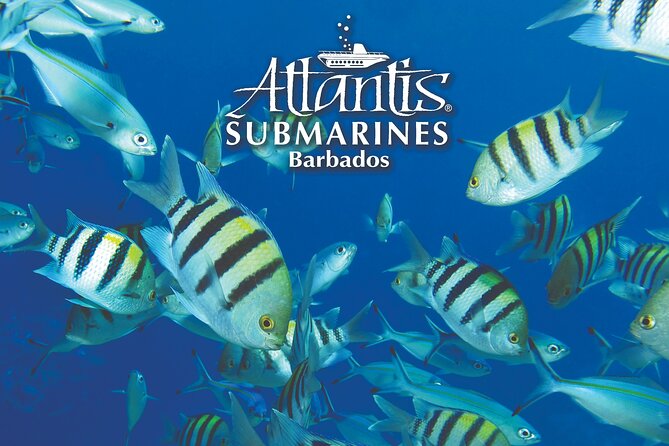 Atlantis Submarine Day Tour - Tour Inclusions and Accessibility