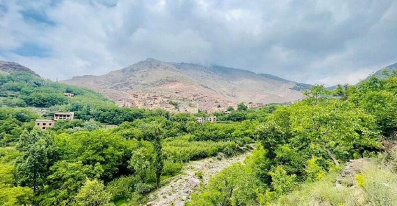 Atlas Day Trip and Berber Villages - Itinerary Highlights