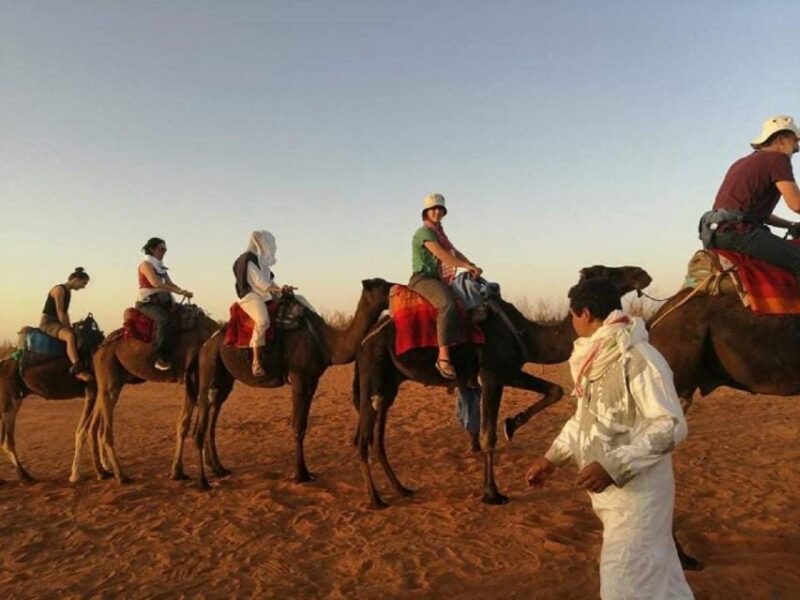 Atlas Day Trip and Berber Villages - Excursion Experiences