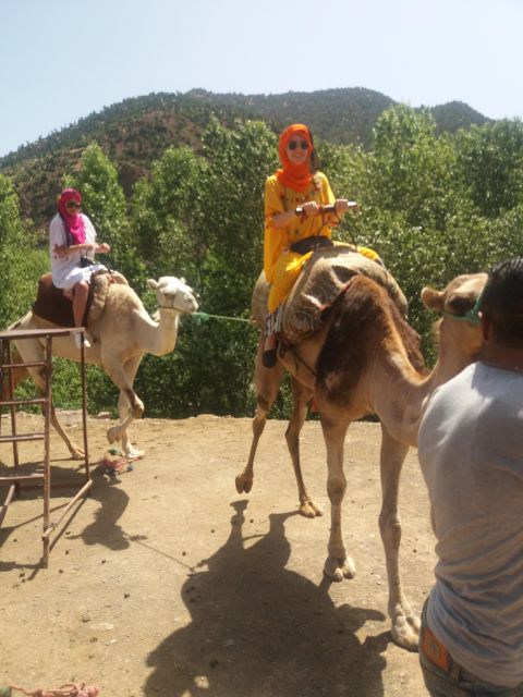 Atlas Mountain and Berber Villages Day Trip - Itinerary Highlights