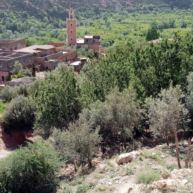 Atlas Mountain and Berber Villages Day Trip - Scenic Mountain Views