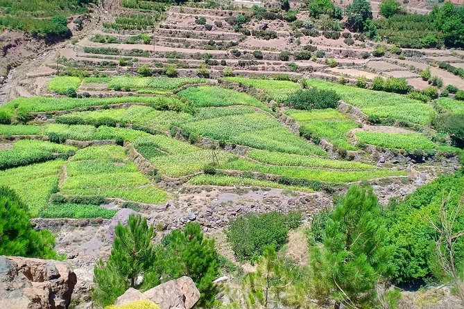 Atlas Mountain & Berber Villages and Waterfalls Day Trip From Marrakech - Discovering Berber Village Culture
