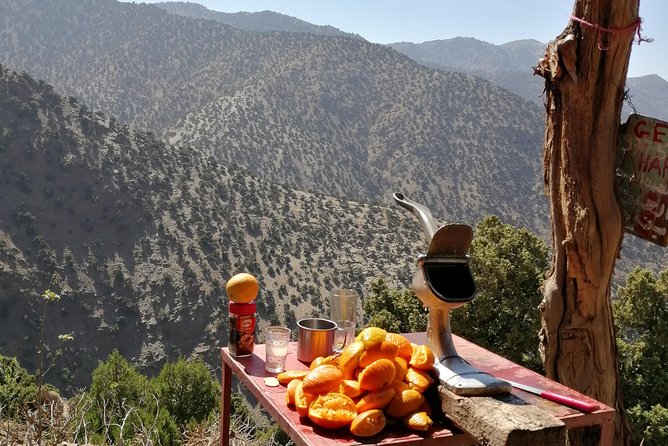 Atlas Mountain & Berber Villages and Waterfalls Day Trip From Marrakech - Hiking to the Waterfalls