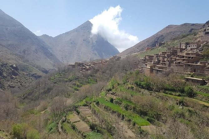 Atlas Mountain & Berber Villages and Waterfalls Day Trip From Marrakech - Savoring the Berber Lunch