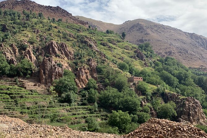 Atlas Mountain Day Trip From Marrakech - Participant Information