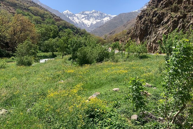 Atlas Mountain Day Trip From Marrakech - What to Expect