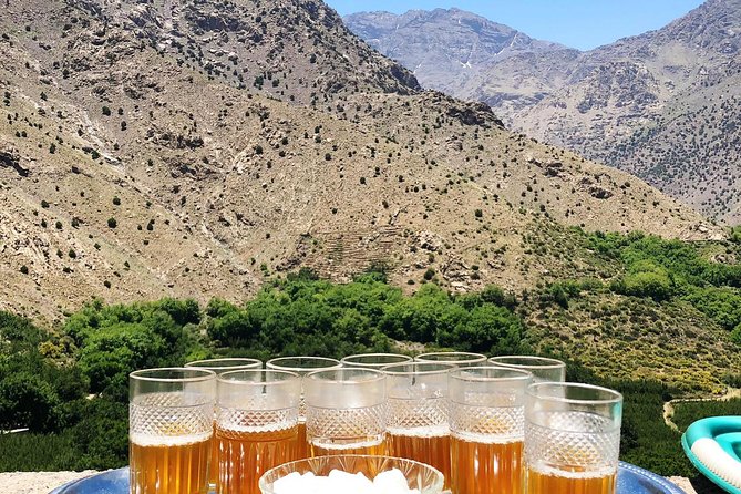 Atlas Mountain, Home Made Lunch & Camel Ride in Agafay Desert - Berber Culture and Traditions