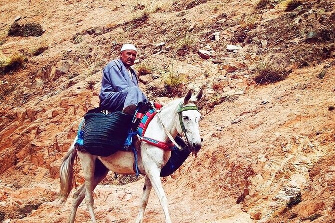 Atlas Mountain Tour With Camel Ride & Visiting Berber Villages - Meeting and Pickup Details