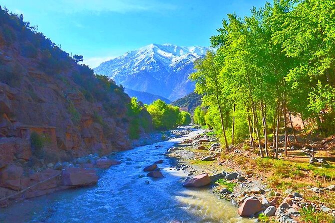 Atlas Mountains, 3 Valleys & Agafay Desert From Marrakech-Daytour - Discovering Argan Oil Products