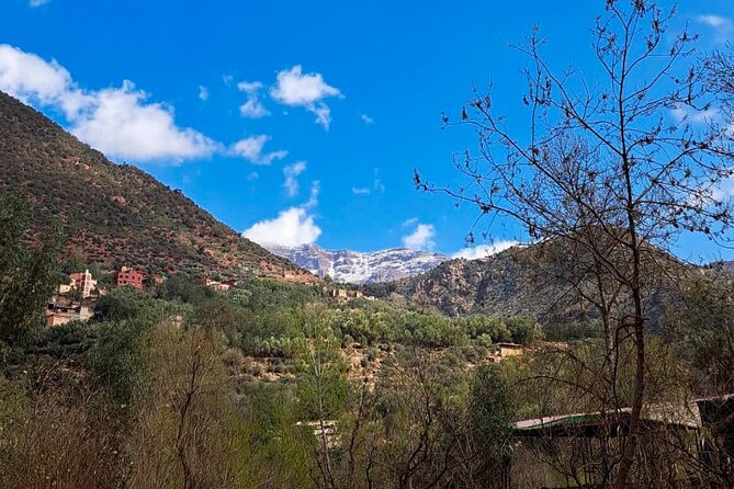 Atlas Mountains 4x4 Private Day Tour - Pickup Information