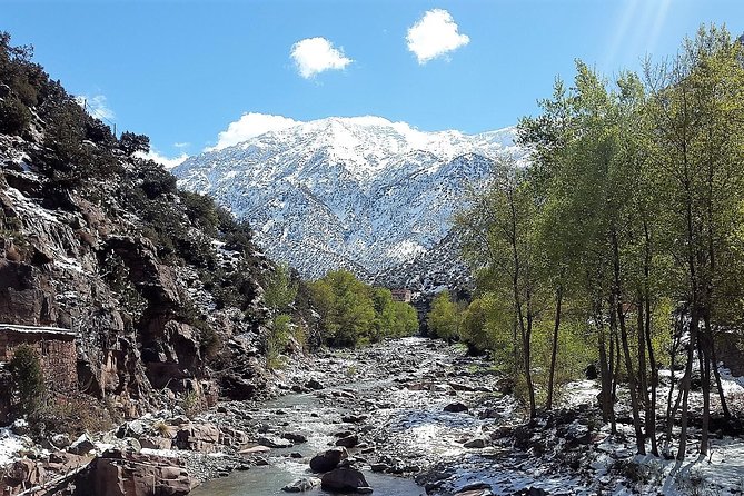 Atlas Mountains & 5 Valleys Tour From Marrakech - All Inclusive - - Berber Culture Immersion