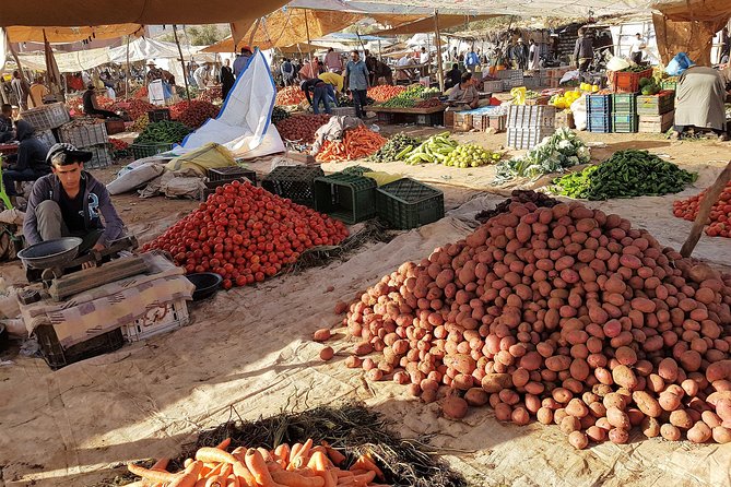 Atlas Mountains & 5 Valleys Tour From Marrakech - All Inclusive - - Small-Group Experience