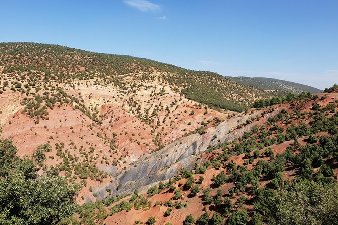 Atlas Mountains & 5 Valleys Tour From Marrakech - All Inclusive - - Dietary Accommodations