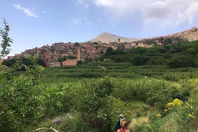 Atlas Mountains and 3 Valleys Day Trip From Marrakech - Tour Activities