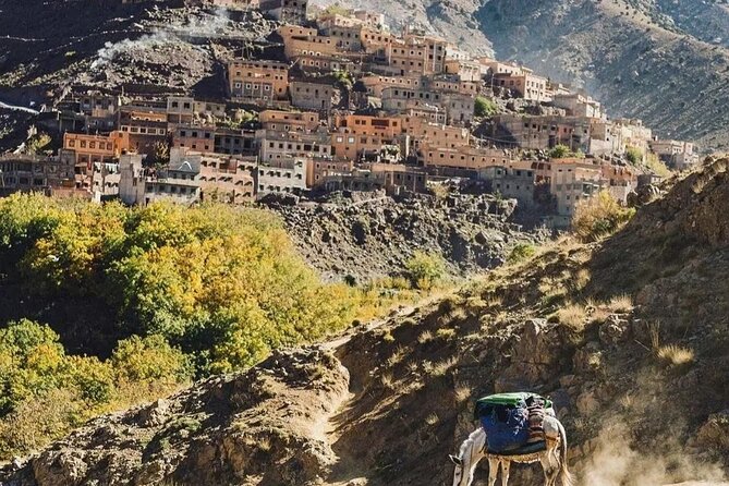 Atlas Mountains and 3 Valleys Day Trip From Marrakech - Value for Money