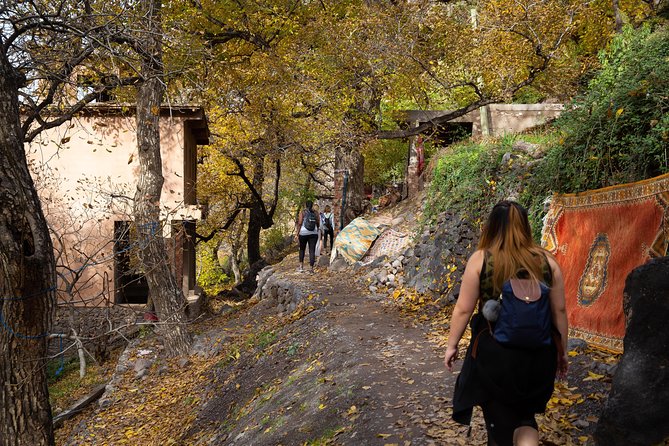 Atlas Mountains and 3 Valleys & Waterfalls - Camel Ride Marrakech - Camel Ride Experience