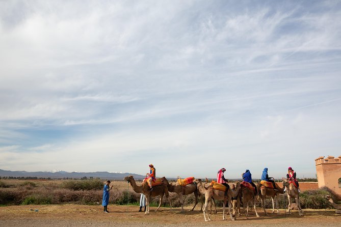 Atlas Mountains and 3 Valleys & Waterfalls - Camel Ride Marrakech - Scenic Views and Waterfalls