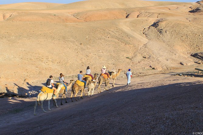 Atlas Mountains and Agafay Desert Jeep Safari - Customer Reviews and Ratings