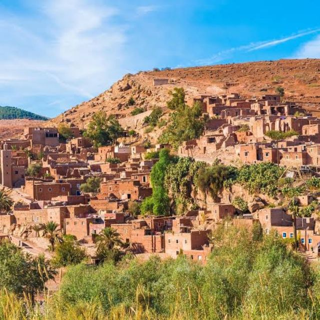 Atlas Mountains and Berber Villages & Waterfall & Camel Ride - Customer Testimonials