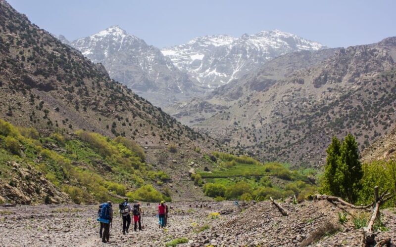 Atlas Mountains and Four Valleys Private Day Trip - Personalized Experience