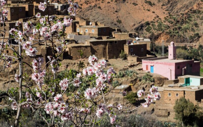 Atlas Mountains and Four Valleys Private Day Trip - What to Bring and Important Information