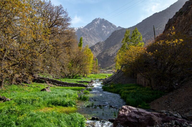 Atlas Mountains and Majestic Berber Village - Cultural Immersion