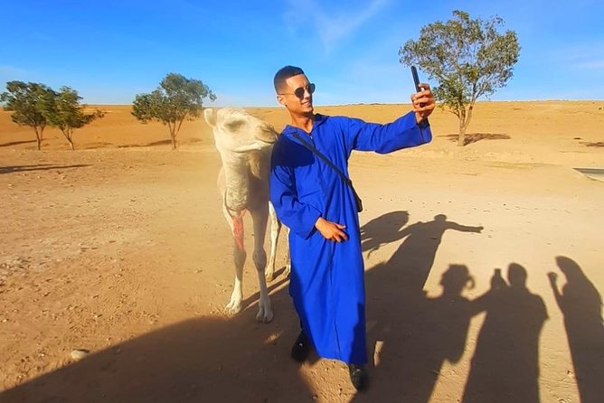Atlas Mountains and Three Valleys & Waterfalls With Camel Ride Guided Day Trip - Camel Safari in Wilderness