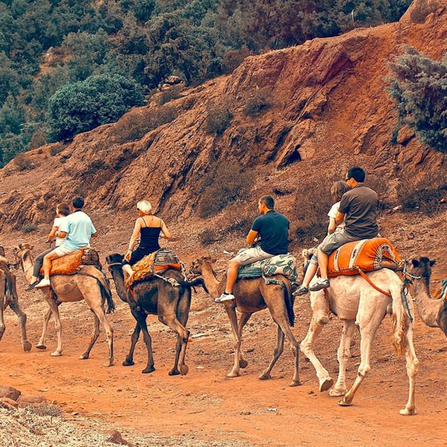 Atlas Mountains: Berber Valleys, Waterfalls & Camel Ride - Key Points