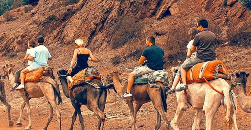 Atlas Mountains: Berber Valleys, Waterfalls & Camel Ride - Inclusions