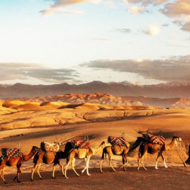 Atlas Mountains: Berber Valleys, Waterfalls & Camel Ride - Berber Valleys and High Atlas