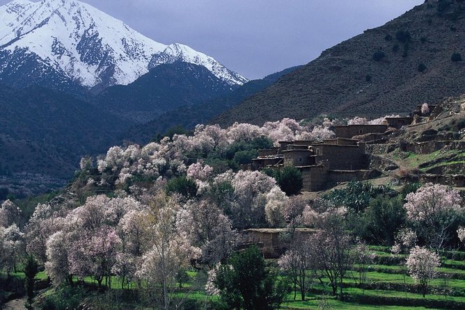 Atlas Mountains & Berber Villages 3 Day Trekking Excursion From Marrakech - Meeting Point and Pickup Details