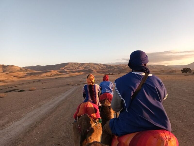 Atlas Mountains: Berber Villages, Waterfalls & Camel Ride - Itinerary Highlights