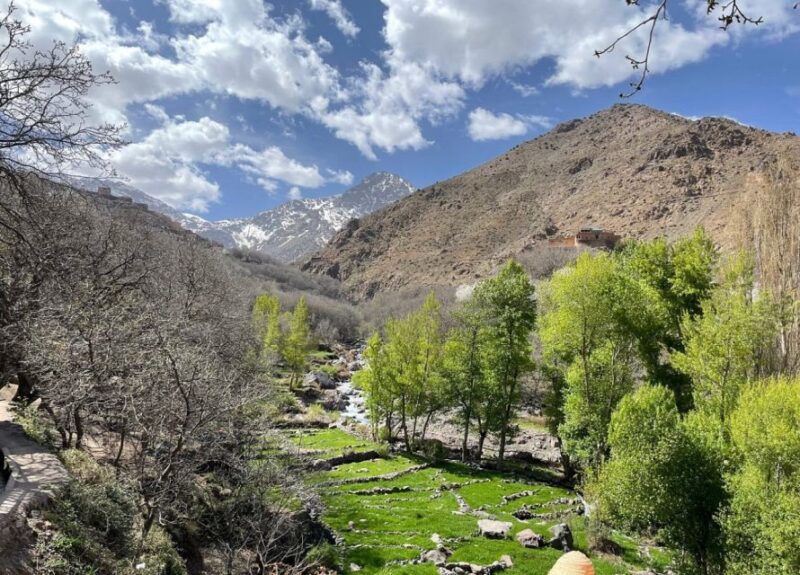Atlas Mountains: Berber Villages, Waterfalls & Camel Ride - Duration and Group Size