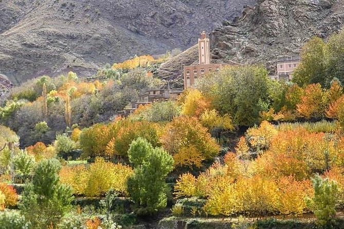 Atlas Mountains Day Trip to Ourika Valley - What to Expect on the Trip