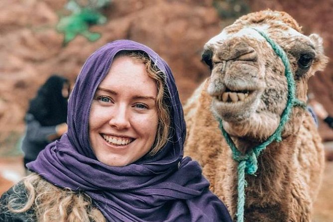 Atlas Mountains Day Trip With Camel Ride From Marrakech Including Lunch - Key Points