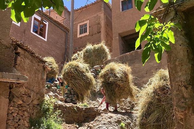 Atlas Mountains Day Trip With Camel Ride From Marrakech Including Lunch - Pickup and Drop-off Details
