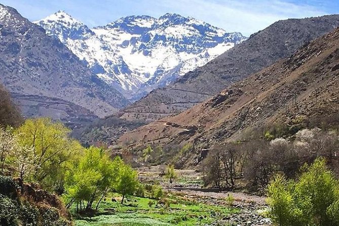 Atlas Mountains Day Trip With Camel Ride From Marrakech Including Lunch - Booking Information