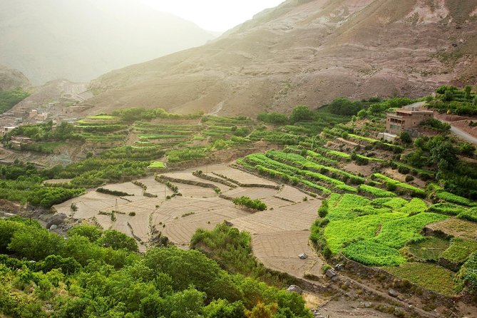 Atlas Mountains Day Trip With Camel Ride (Imlil) - Tour Schedule and Availability