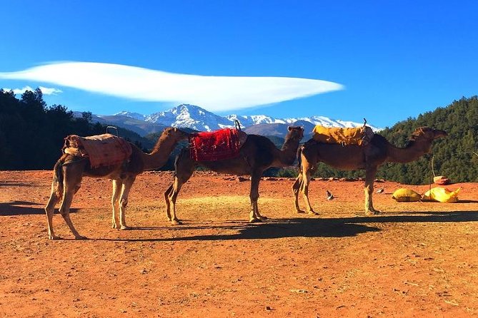 Atlas Mountains Day Trips & 3 Valleys With Camel Ride - Accessibility and Accommodations