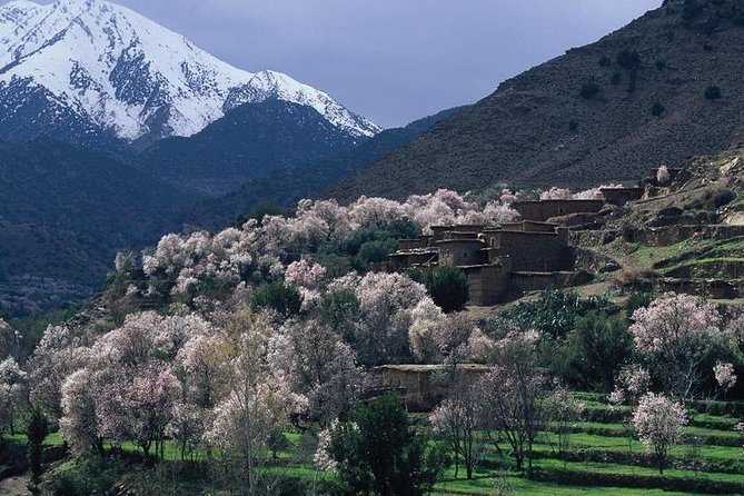 Atlas Mountains, Desert Agafay, Waterfalls and 3 Valleys - Marrakech Day Trip - Highlights of the Atlas Mountains
