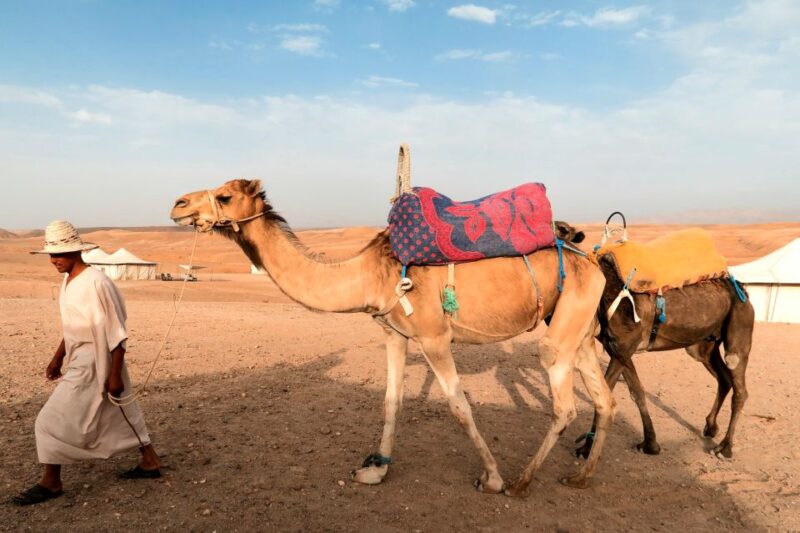 Atlas Mountains: Guided Day Trip With Camel Trekking - Camel Trekking in Agafay Desert