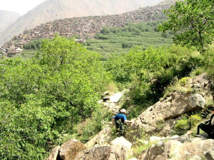 Atlas Mountains: Guided Day Trip With Camel Trekking - Customer Testimonials
