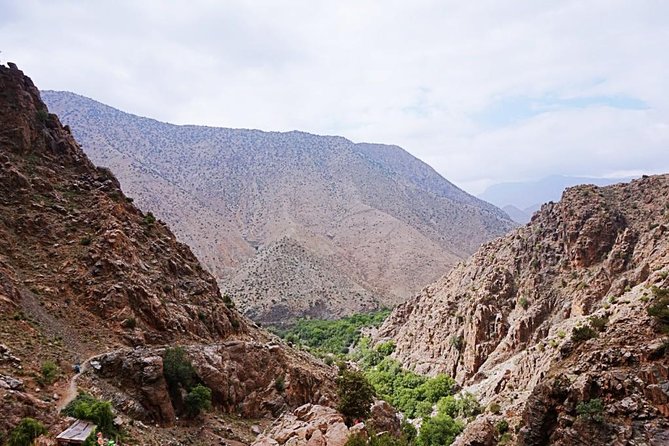 Atlas Mountains Ourika Valley and Camel Ride - Pickup Details
