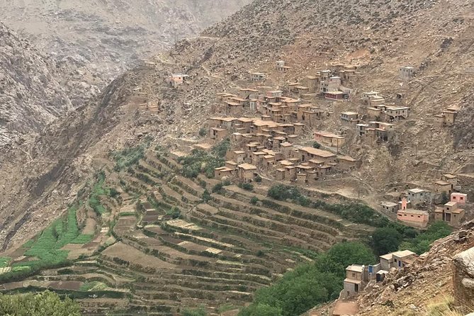 Atlas Mountains Ourika Valley and Camel Ride - Highlights of the Experience