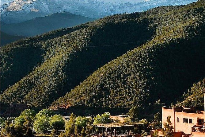 Atlas Mountains Ourika Valley Private Day Trip From Marrakesh - Tour Overview
