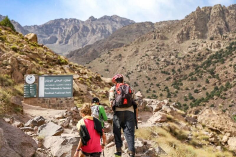 Atlas Mountains Sightseeing Tour With Local Guide - Itinerary and Activities