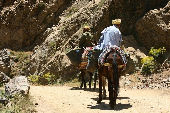 ATLAS MOUNTAINS The National Park of Toubkal - Stunning Landscapes
