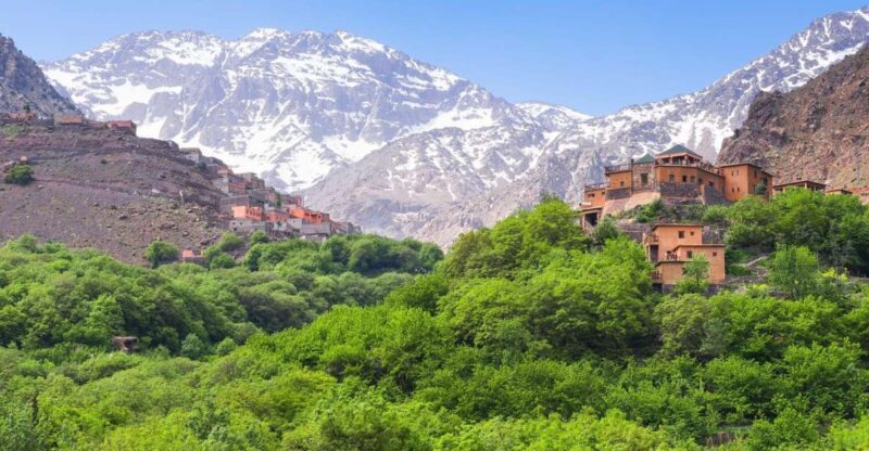 Atlas Mountains Waterfall Day Tour From Marrakech-With Lunch - Itinerary Highlights
